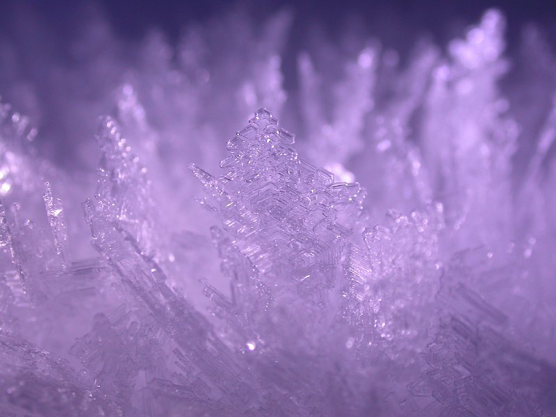 Winter in Bohinj, Slovenia - 23.jpg